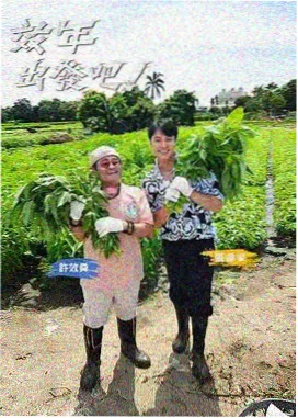 久久小黄书古风言情精选封面